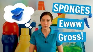Sponges for House Cleaning or is That Gross?