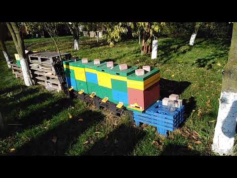 65.  Jesień w pasiece  II