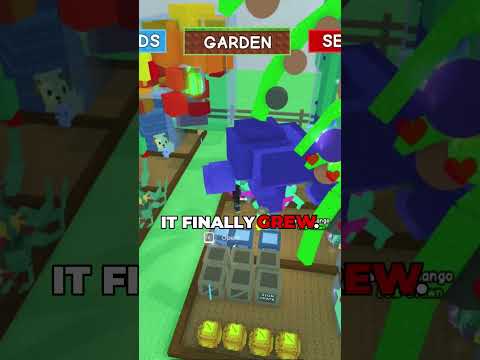 Dropped 1B on Moon Mango. W or L?