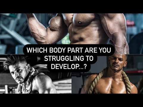 fit4lifept24.7 video.