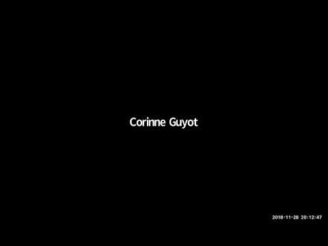 2018 11 28 PM Public Teaching in French - Enseignements publics en français