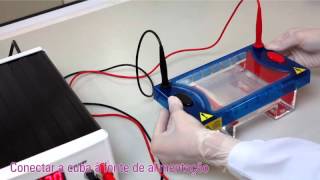 Eletroforese horizontal de DNA em gel de agarose