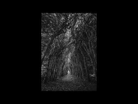 ASOK - TRASCENDENTE PENURIA