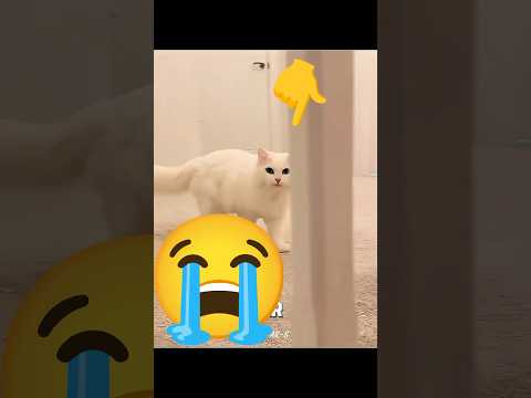 DON'T CHECK THE SOUND 😭