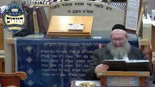 הרב יהושע ויזגן מסכת חולין דף עד עמוד א' (בית הכנסת מוסאיוף) - התמונה מוצגת ישירות מתוך אתר האינטרנט יוטיוב. זכויות היוצרים בתמונה שייכות ליוצרה. קישור קרדיט למקור התוכן נמצא בתוך דף הסרטון