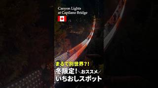バンクーバーの大人気観光地！キャピラノ吊り橋にて毎年冬限定で開催されている『Canyon Lights』