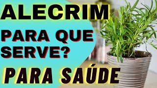 Alecrim para que serve? Benefícios do alecrim para saúde que você não sabia2