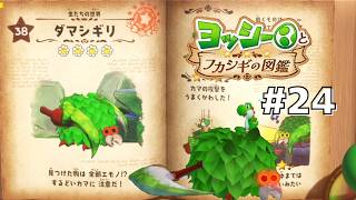 ダマシギリを徹底調査！#24 【ヨッシーとフカシギの図鑑】