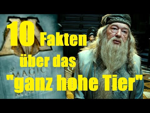 10 FAKTEN über das "GANZ HOHE TIER" 👨‍🎓
