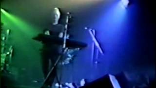 In The Woods - Live in Rome 1996
