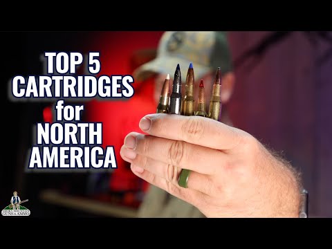 Top 5 Hunting Cartridges For North America