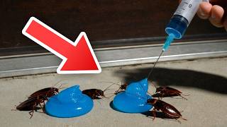 This Homemade Paste Destroyed My Cockroach Problem