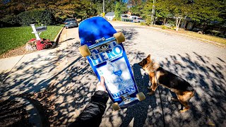 Tips for Skateboarding with Your Dog (German Shepherd Edition)