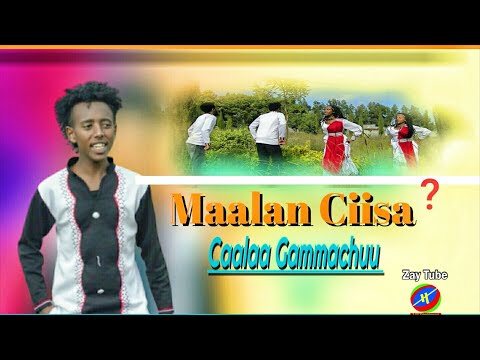 Caalaa Gammachuu - Maalan Ciisa - New Ethiopian Oromo Music