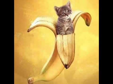 Roland Kulé I'm a banana