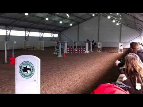 110409 g og t lett b