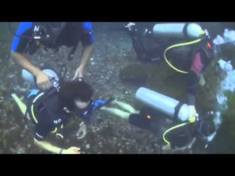 Pedido de casamento Guga e Endy