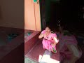 Short Misti Sonai Daily Blog Please Subscribe My Channel