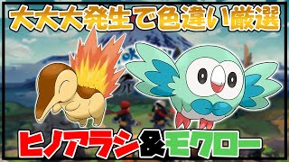 色違いのヒノアラシ&モクローが欲しい！！【ポケモンレジェンズアルセウス】