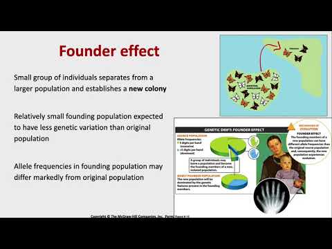 Mechanisms of Evolution