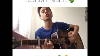 Norm Ender - Kaktüs (Berkay Akman)    @berkaayakman