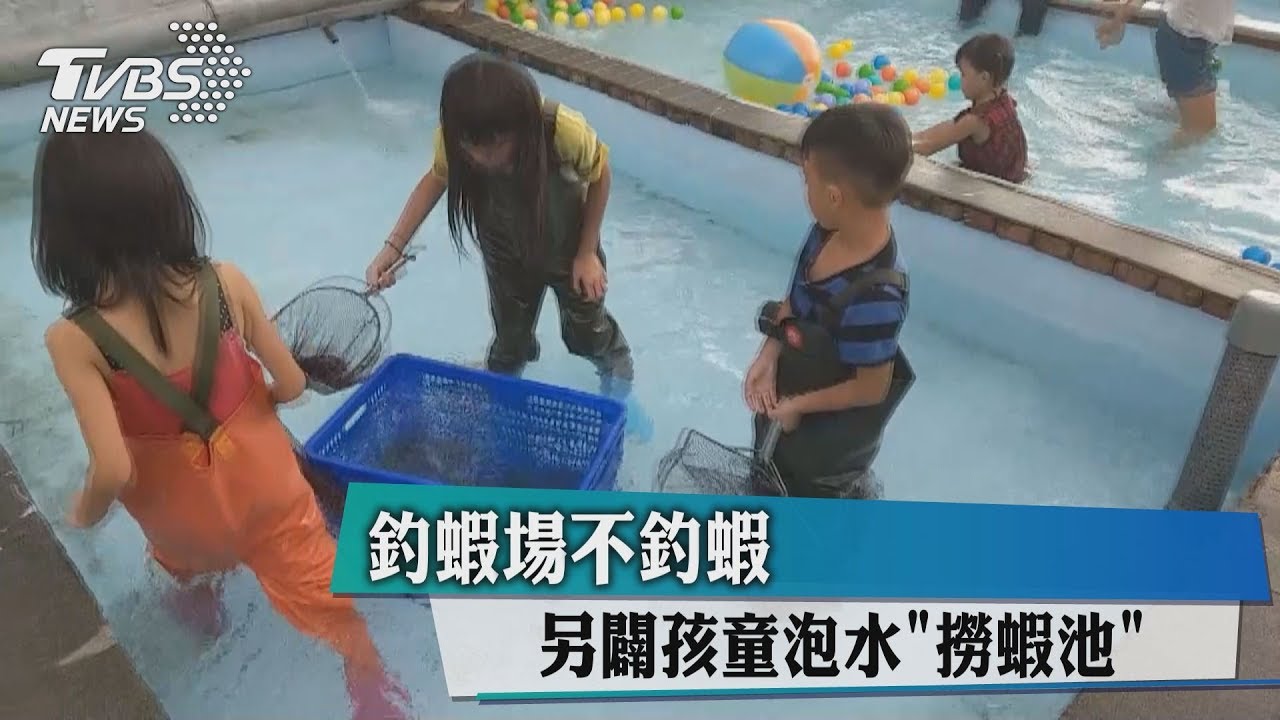 釣蝦場不釣蝦 另闢孩童泡水「撈蝦池」