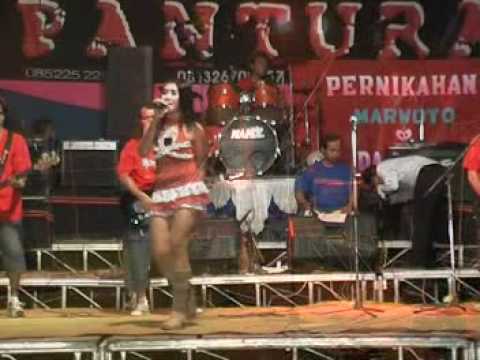 pantura (sekuntum mawar merah)