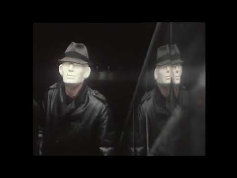 Red Zebra - T.V. Activity