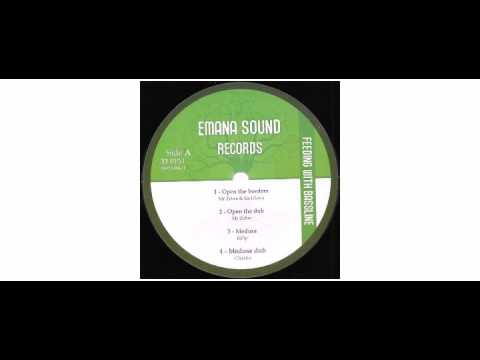 Mr. Zèbre / Sis I-Leen / iSt3p /  - Feeding With Bassline  - 12" - Emana Sound Records