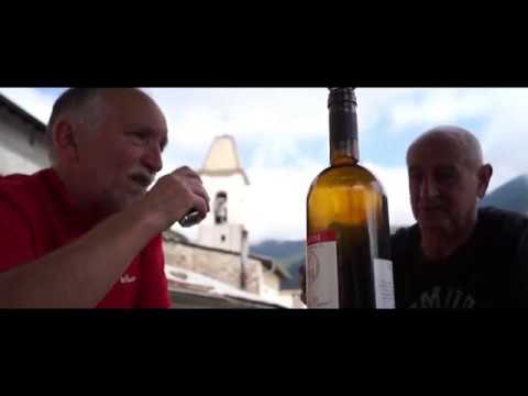 La storia della pecora brigasca che scompare, per visitare l'Europa