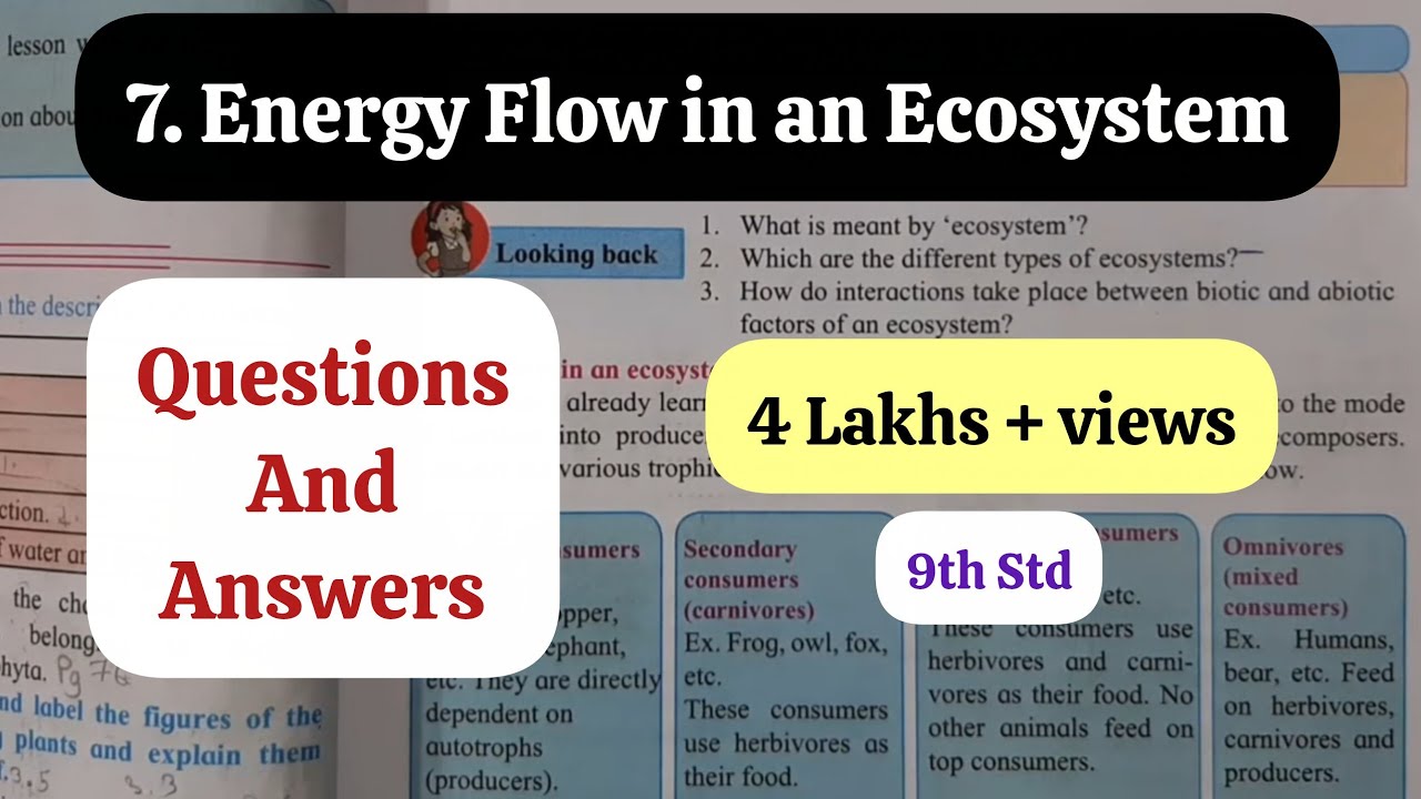 Watch video 7. ENERGY FLOW IN AN ECOSYSTEM QUESTIONS AND ANSWERS/EXERCISE - CLASS 9 GENERAL CHAPTER 7 - SSC Now 7. ENERGY FLOW IN AN ECOSYSTEM QUESTIONS AND ANSWERS/EXERCISE - CLASS 9 GENERAL CHAPTER 7 - SSC