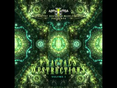 Synthetic Forest - Twinkling Tears