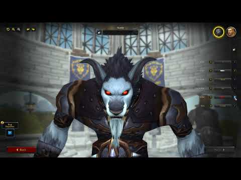 World of Warcraft: SHADOWLANDS | New WORGEN Customization Options!