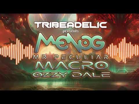 Tribeadelic presents MENOG - MR PECULIAR- MACRO - OZZY- DALE