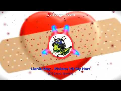 Lianie May - Pleister Vir My Hart (DJ Kriek Remix)
