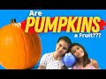 Are PUMPKINS A Fruit Pumpkin Facts For Kids