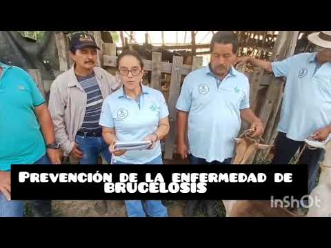 Video de acciones de cuidado ambiental y prevención de daños.Teruel Huila.Aprendices del SENA 