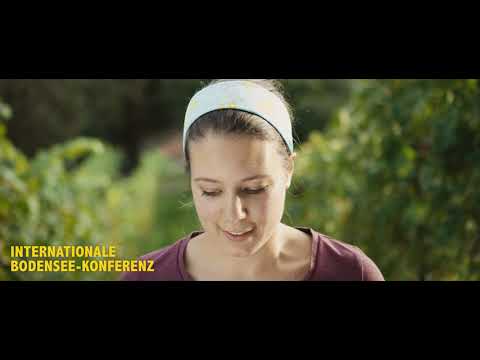 Was ist die IBK und wie funktioniert sie?