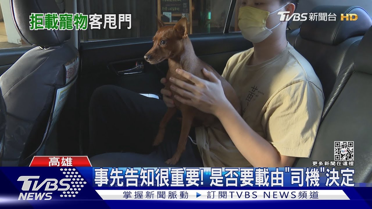 不載不行嗎?拒載寵物乘客怒甩門 雙方爆發口角