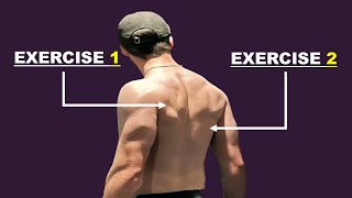 The only 2 Dumbbell Exercises you need for a MASSIVE Back