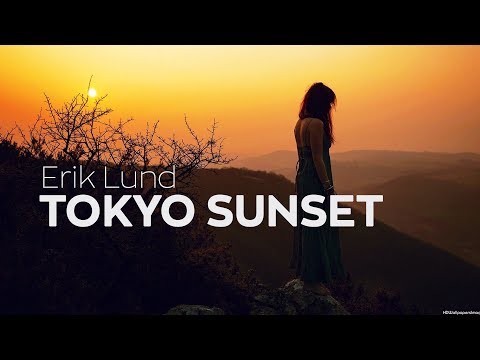 Erik Lund - Tokyo Sunset