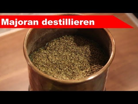 🌷 Majoran destillieren 🌻 - ätherisches Öl selber machen - diSTILLed