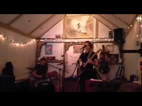 Horrible Dolphins - Clacton Blues [Live at Brewhouse, Colchester]