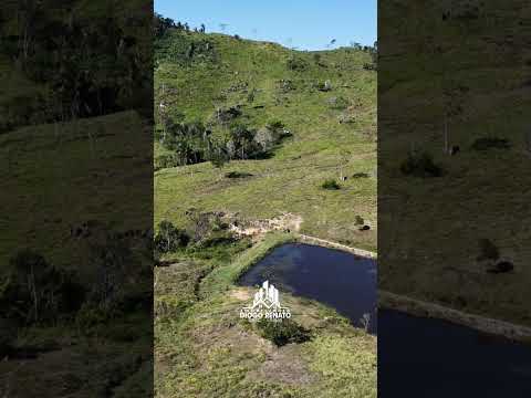 🏠Vende-se sítio de 20 alqueires a 15 km de colniza no asfalto e pega uma casa no negócio