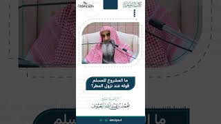 صورة 13 ما المشروع للمسلم قوله عند نزول المطر؟