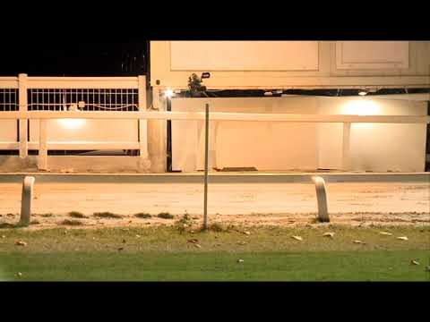 2021.11.19. 07. futam - WGO Bajnokság