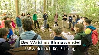 Der Wald im Klimawandel: Eine Kooperationsveranstaltung von SBB & Heinrich-Böll-