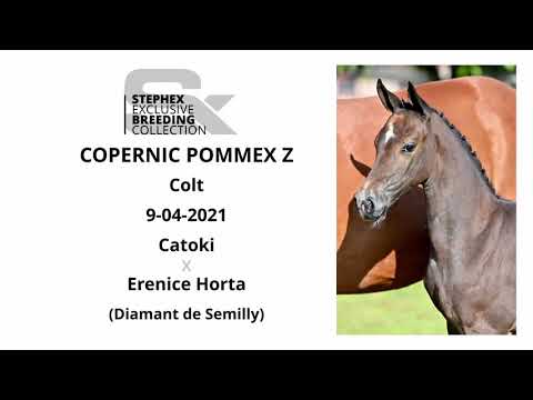 Copernic Pommex Z