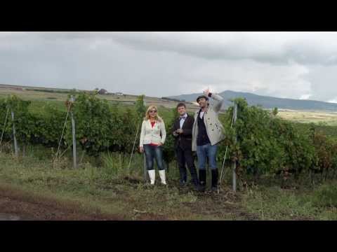 Mega Image - Vizita la Crama Aurelia Visinescu, Domeniile Sahateni