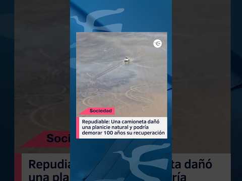 Repudiable: Una camioneta dañó una planicie natural y podría demorar 100 años su recuperación